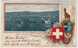 Zofingen - Gruss Aus...  (Prägekarte Mit Alpenmotiven)       1900 - Zofingue