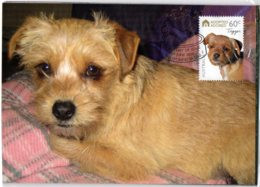 Australia 2010 Adopted And Adored - Dogs -  Tigger Maximum Card - Cartoline Maximum