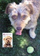 Australia 2010 Adopted And Adored - Dogs -  Jessie Maximum Card - Cartas Máxima