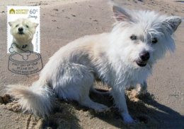 Australia 2010 Adopted And Adored - Dogs -  Daisy Maximum Card - Cartoline Maximum