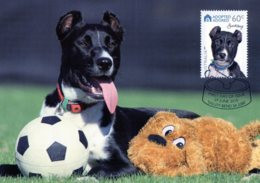 Australia 2010 Adopted And Adored - Dogs - Buckley Maximum Card - Cartes-Maximum (CM)