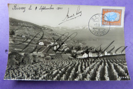 Rivaz 1960 Druiven Wijngaard Vignoble Vineyard - Rivaz