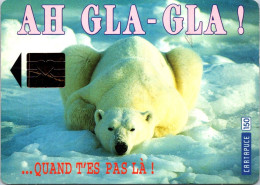 13-11-2023 (2 V 6) France - Humour - Polar Bear / Ours Polaire - Ours