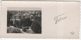 Estonia 1949 Tallinn, Size 12 X 6 Cm - Estonie