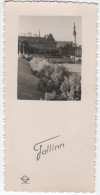 Estonia 1949 Tallinn, Size 12 X 6 Cm - Estonie