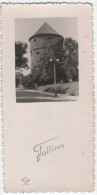 Estonia 1949 Tallinn, Size 12 X 6 Cm - Estonie