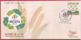 India 2023 Millets, Ragi, Agriculture, Women,Cereals, Gastronomy ,Nutrition Health, Animal, Food, FDC (**) Inde Indien - Cartas & Documentos