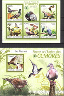 Comoros 2009 Birds Pigeons Sheet + S/S MNH - Comores (1975-...)