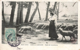 MUSEE - Musée Du Luxembourg - Dans La Campagne - Henri Lérolle -Moutons -  Carte Postale Ancienne - Museen