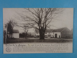 Vallée De La Hoëgne Les Sept Frères De La Maison Forestière De Gospinal - Jalhay