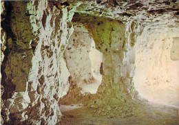 80 - Naours - Domaine Des Grottes De Naours - La Galerie Du Trésor - Naours