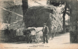 FRANCE - Lourdes - L'attelage Du Pays - Carte Postale Ancienne - Lourdes