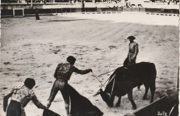 NIMES. - Course De Taureaux Aux Arènes Romaines. Le Descabello  CPM Tour Dentelé - Corridas