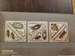 1962	Central Africa	Insects (F64) - Centrafricaine (République)