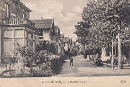Apeldoorn - Loosche Weg - Apeldoorn