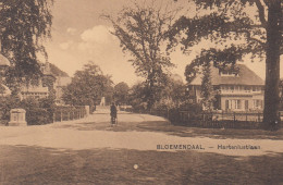 Bloemendaal - Hartenlustlaan - Bloemendaal