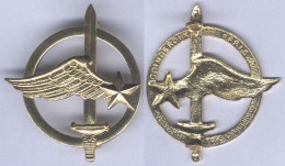 Insigne De Béret Des Commandos De L'Air - Forze Aeree