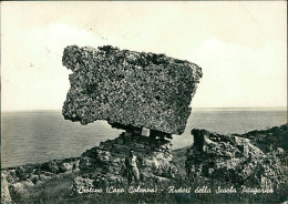 CROTONE - CAPO COLONNA - RUDERI DELLA SCUOLA PITAGORICA - SPEDITA 1960 (18642) - Crotone