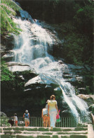 BRÉSIL - Rio De Janeiro  - Cascade De Taurnay - Colorisé - Carte Postale - Rio De Janeiro