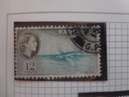 Barbados	Fishes  (F65) - Barbados (1966-...)