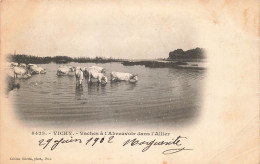 FRANCE - Vichy - Vaches à L'abreuvoir Dans L'Allier- Carte Postale Ancienne - Vichy