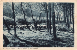 FRANCE - Dans Les Landes - Berger Et Ses  Moutons - Carte Postale Ancienne - Other & Unclassified