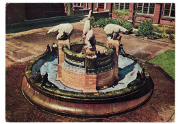 Le Palais De La Paix - Fontaine - Den Haag / Het Vredenspaleis - Fontein - 's-Gravenhage - Den Haag ('s-Gravenhage)