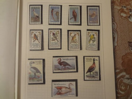 1984-1985-1987	Venda	Birds  (F65) - Venda