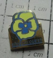 918c Pin's Pins / Rare Et De Belle Qualité !!! EDF / FLEUR JAUNE ET BLEUE EDF OUEST - EDF GDF