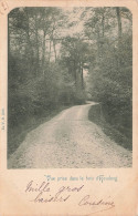 BELGIQUE - Houdeng - Vue Prise Dans Le Bois D'Houdeng - Carte Postale Ancienne - La Louviere