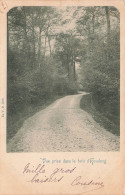 BELGIQUE - Houdeng - Vue Prise Dans Le Bois D'Houdeng - Carte Postale Ancienne - La Louvière