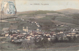 FRANCE - Cublize - Vue Generale - Colorisé - Carte Postale Ancienne - Sonstige & Ohne Zuordnung