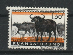 Ruanda-Urundi Y/T 210 (0) - Used Stamps