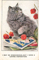 ANIMAUX & FAUNES - Chat - Colorisé - Carte Postale Ancienne - Gatos