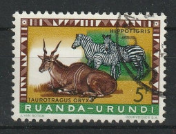 Ruanda-Urundi Y/T 213 (0) - Oblitérés