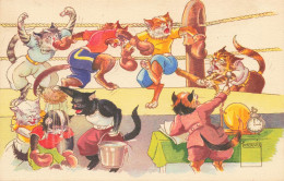 Chat * Cpa Illustrateur Minouvis * Chats Humanisés Sur Un Ring De Boxe * Sport * Cat Katze - Cats