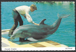 Dolphin - Friendly Dolphin Sea World San Diego California - Uncirculated  Non Circulée - By Sea World - No: B4484 - Dolphins