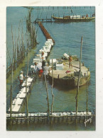Delcampe - Cp, Métier, Pêche, Pêcheurs, Travail Ostréicole, La Pose Des Tuiles, 33, Bassin D'Arcachon, écrite, Ed. Yvon - Fischerei