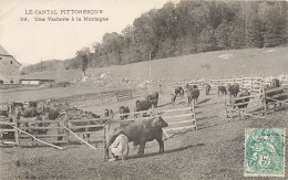 Cantal * Scènes Champêtres * Une Vacherie à La Montagne * Troupeau Vaches Traite Lait Ferme - Other & Unclassified