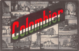 PIE-23-FRP-AR-5619 : COLOMBIER - Colombier