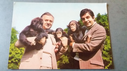 CPSM ZOO JEAN RICHARD ERMENONVILLE OISE GERTRUDE GORILLE GASTON CHIMPANZE J RICHARD ET ROGER PIERRE ED MONOCHROME - Singes