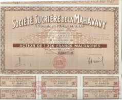 SOCIETE SUCRIERE DE LA MAHAVAVY -SOCIETE ANONYME MALGACHE - LOT DE 3  ACTION DE 1350 FRS MALGACHES - - Africa