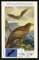 GREENLAND (2023) Carte Maximum Card ATM - White-tailed Eagle, Haliaeetus Albicilla, Pygargue à Queue Blanche, Bird Prey - Maximumkarten (MC)