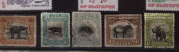 Nordborneo 1909 Wildlebende Säugetiere SG 159; 175; 281; 282; 284 Alle Gebraucht - North Borneo (...-1963)