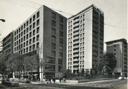 SESTO S. GIOVANNI - VIALE FRATELLI CASIRAGHI - F.G. - Sesto San Giovanni