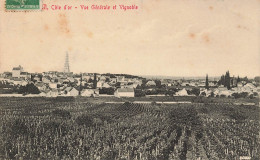 Meursault Vue Generale Et Vignoble - Meursault