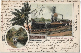 PANAMA --PEDRO MIGUEL - Steam Shovel And Farming On The Isthmus - Panama