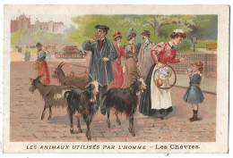 Chromos Les Animaux Les Chevres - Artis Historia