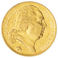 Louis XVIII-20 Francs 1817 Lille - 20 Francs (gold)