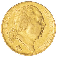 Louis XVIII-20 Francs 1817 Lille - 20 Francs (oro)